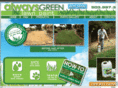 alwaysgreenlawnpaint.com