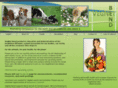 vegnetbend.org