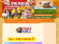 chicagofunrental.net
