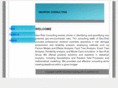 georiskconsulting.com