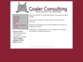 goalerconsulting.com