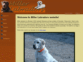 millerlabradors.com