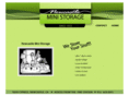 newcastleministorage.com
