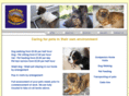 noahsarkpetcare.com