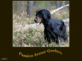 setter-gordon.com