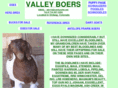 valleyboers64.com