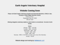 holistic-veterinary-medicine.com
