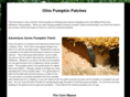 ohiopumpkinpatches.com