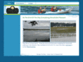 pleasantpoint.org