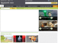 yahoovideodownloader.com