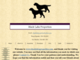 blacklabsproperties.com