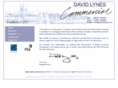 davidlynes.com