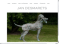 jan-desmarets.com