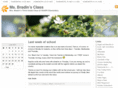msbradinsclass.com