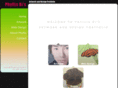 phyllisbi.com