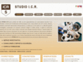 studioicr.com