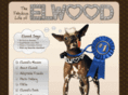 everyoneloveselwood.com