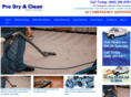 prodryandclean.com