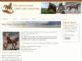 sandiegoequine.org