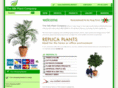 silkplant.co.uk