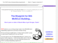 bodybuildingsupplements.com