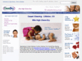 carpet-cleaning-littleton.com