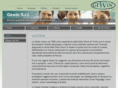 gewin-informatica.com
