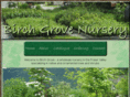 birchgrovenursery.com