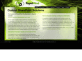 rapidmindsolutions.com
