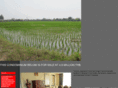 chiangmaicondominiums.com