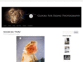 clocksforseeing.com