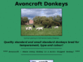 donkeys.co.uk