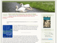 swanpondpress.com