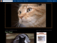 apurrfectface.com