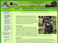 gorillasafaritours.com
