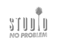 ilovenoproblem.com