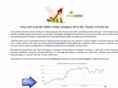 liveforexcalls.com