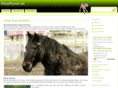 ponyplanet.de