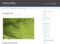 aimeesblog.com
