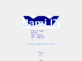 jami-it.com