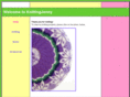 knittingjenny.com