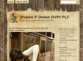shawnpdolan.com