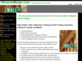 1reversemerger.com