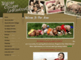 cottagelabradoodles.com