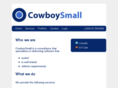 cowboysmall.com