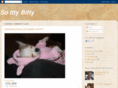 soittybitty.com