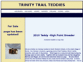 trinitytrailteddies.com