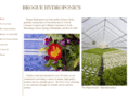 broguehydroponics.com