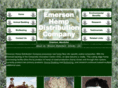 emersonhemp.com