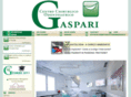 studiogaspari.biz